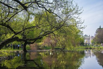 Ruscello nel parco lambro