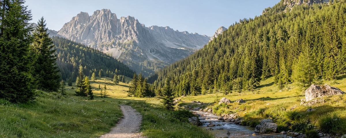 Passeggiata in Val Saisera tra boschi, prati e Alpi Giulie